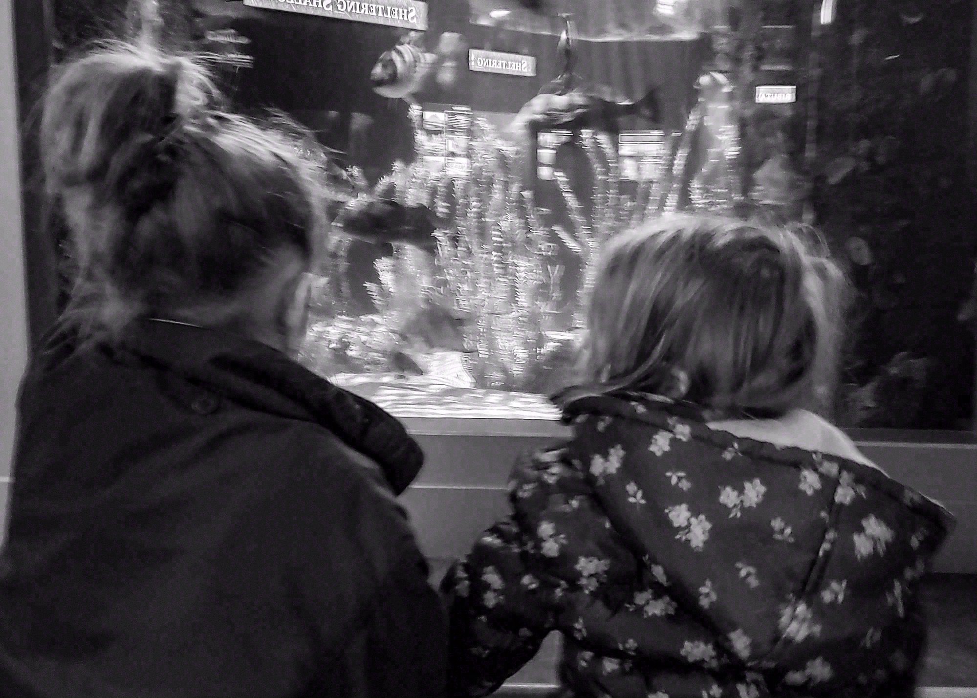 Black and White, Black and White. Photograph 3 of 11 by Heather Marie Kerr