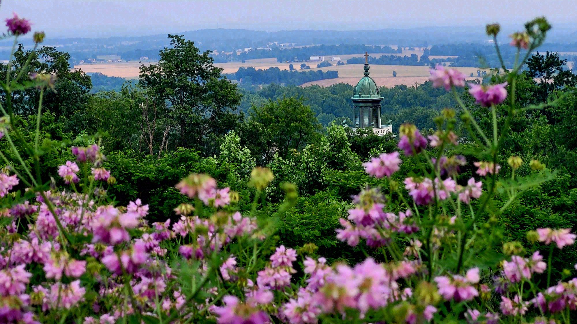 Mount St Marys, Maryland. Photograph 4 of 6 by Heather Marie Kerr