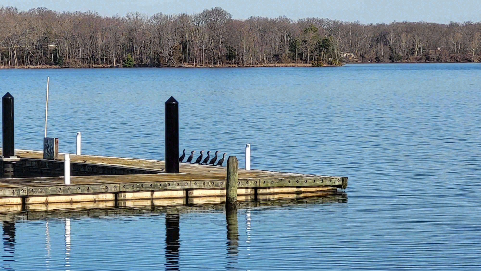 Solomon's Island, Maryland. Photograph 5 of 7 by Heather Marie Kerr