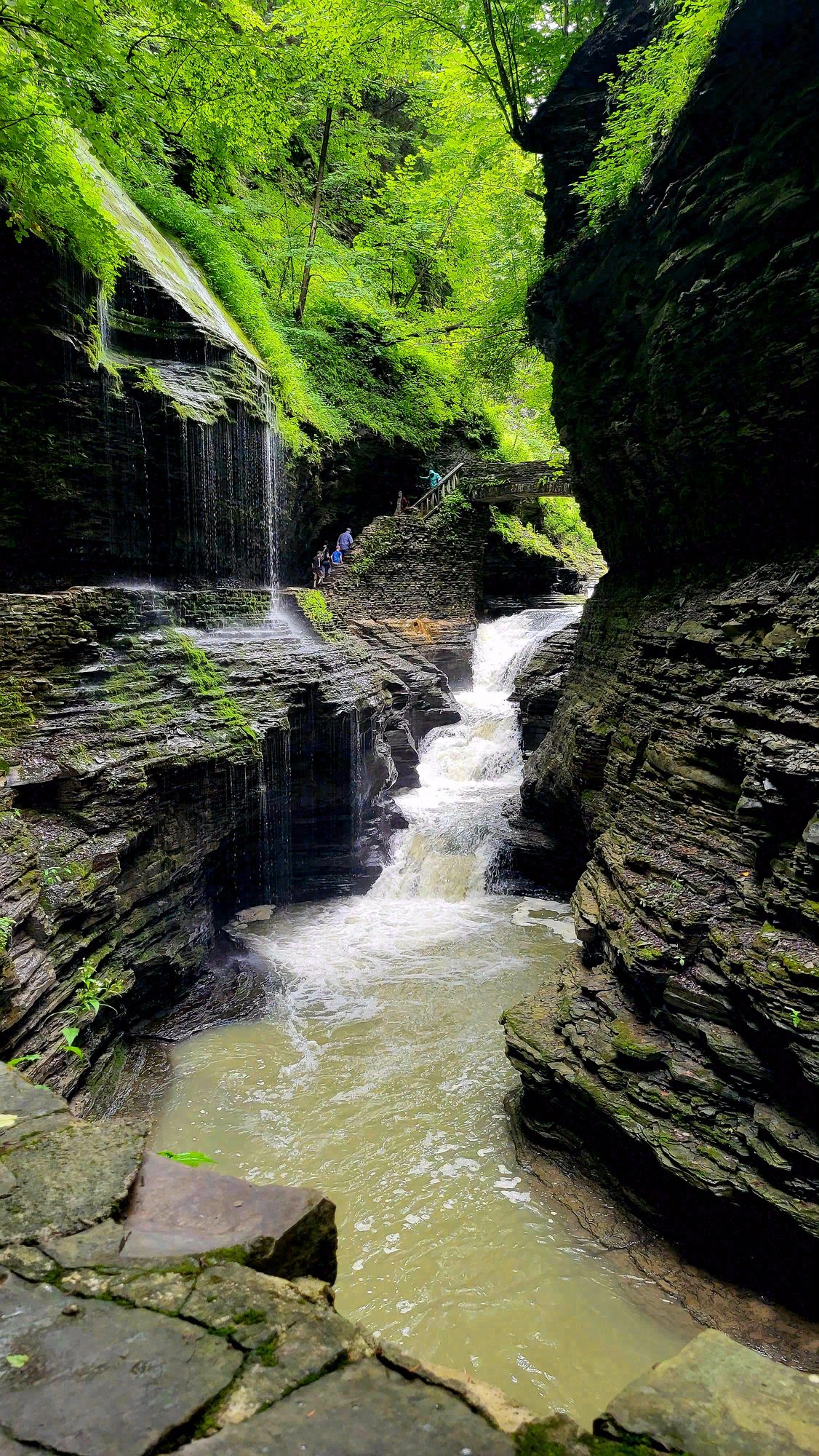 Watkins Glen, New York. Photograph 4 of 6 by Heather Marie Kerr