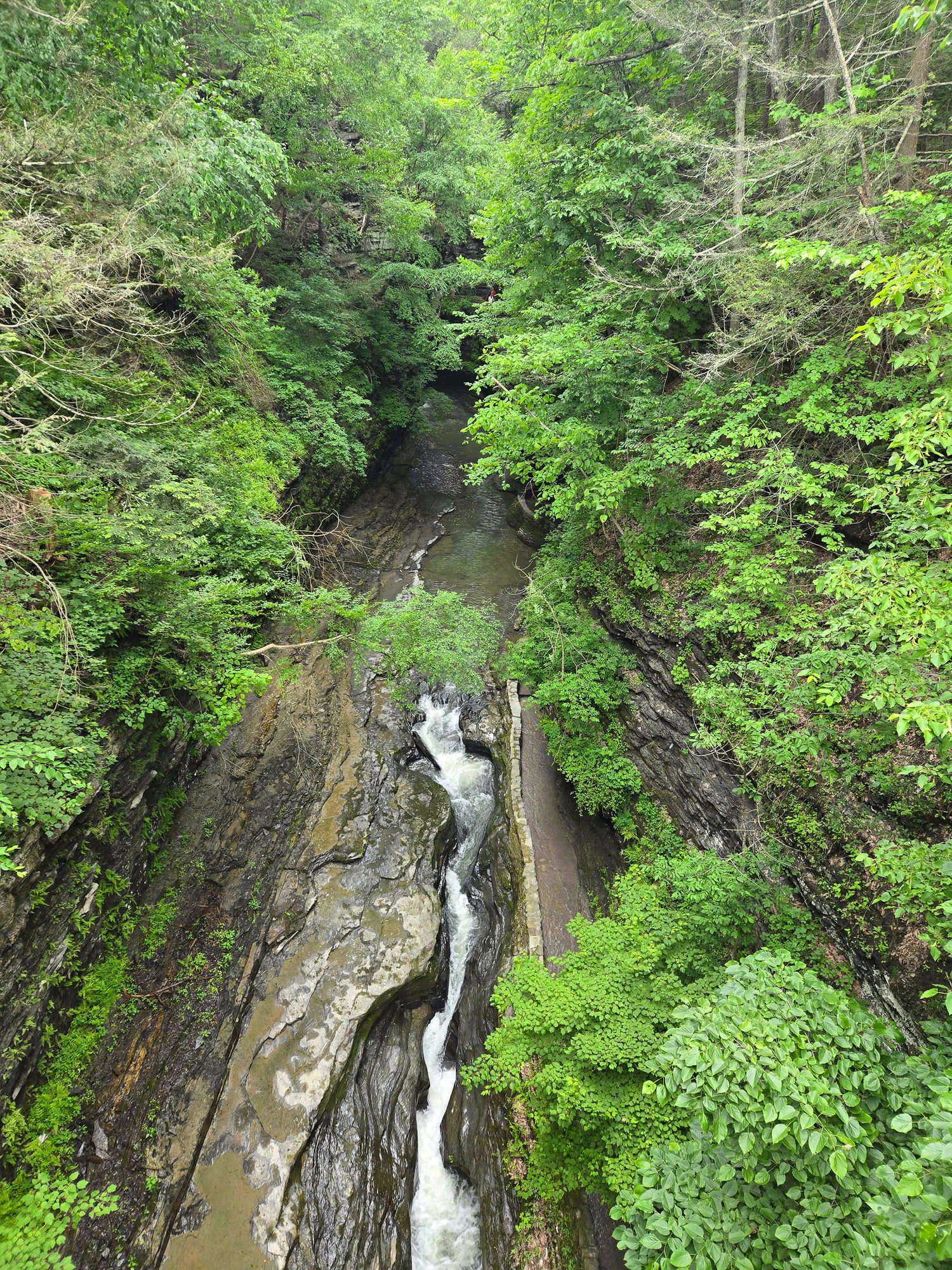 Watkins Glen, New York. Photograph 5 of 6 by Heather Marie Kerr