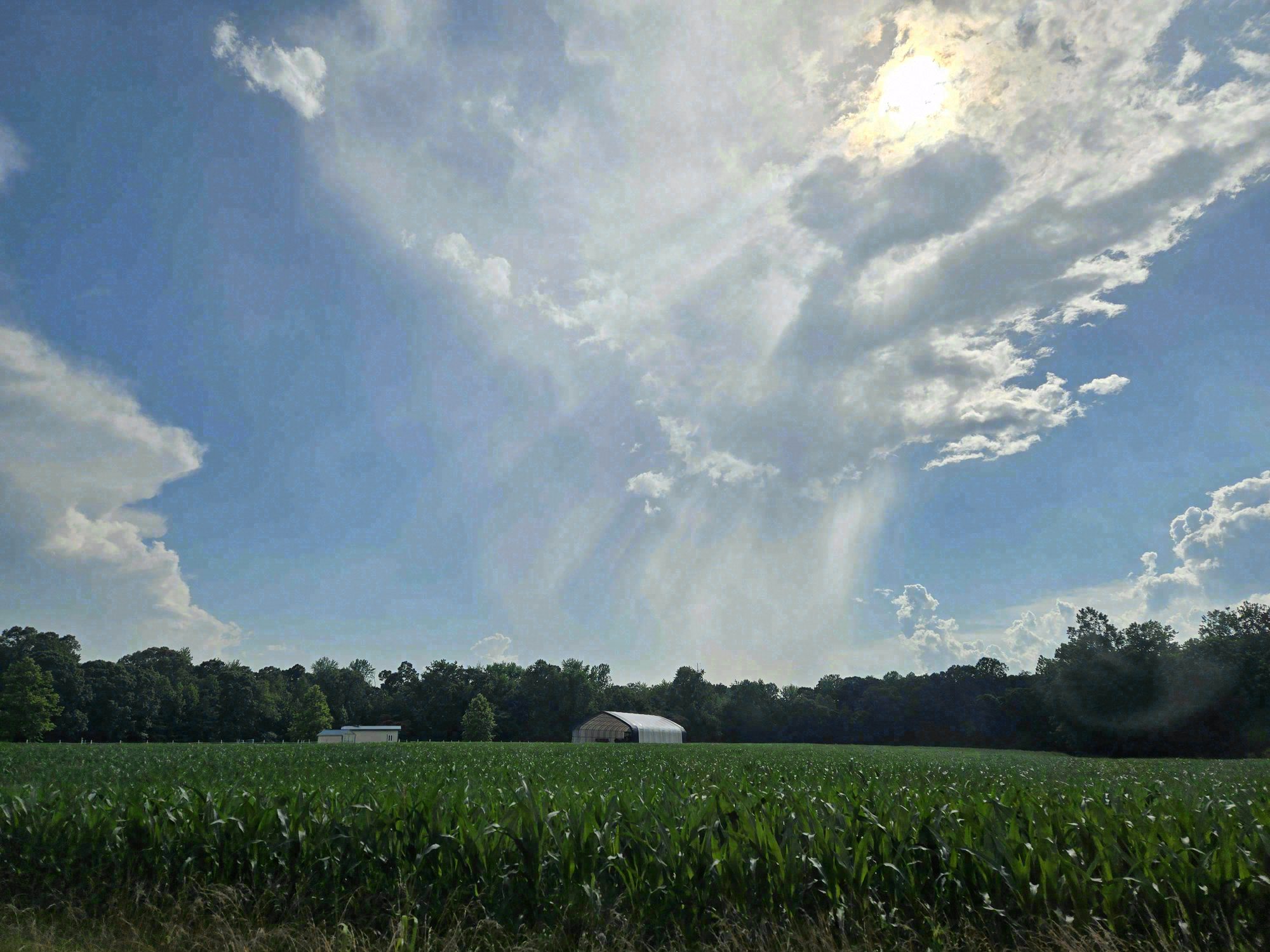 Wayne County, New York. Photograph 8 of 8 by Heather Marie Kerr